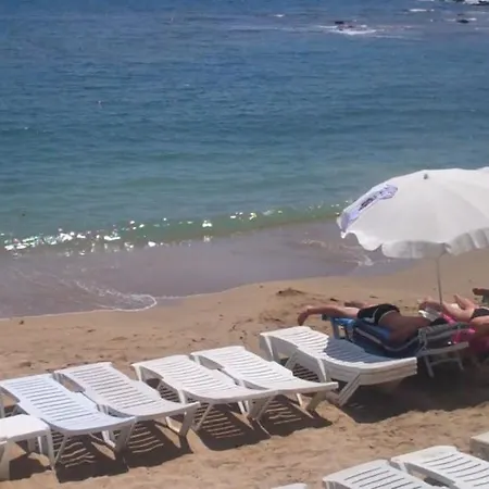 Hotel Alara Park 4*