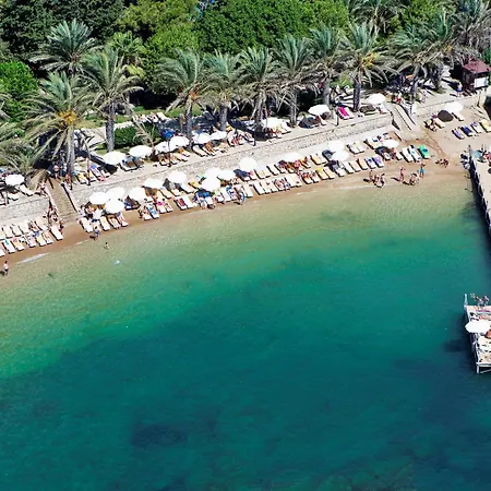 Alara Park Авсаллар